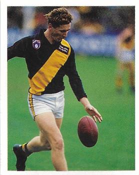 1993 Select AFL Stickers #199 Craig Lambert Front
